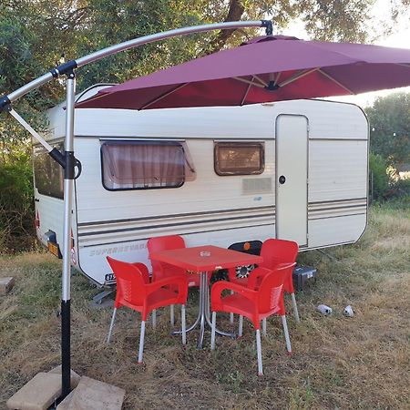 Aquariumi Jale Camping Eksteriør billede